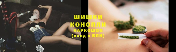 дурь Горняк