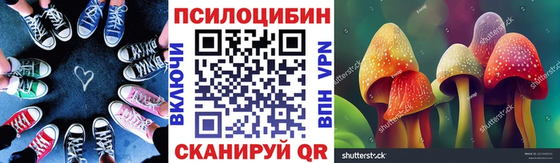 Псилоцибиновые грибы мухоморы  ОМГ ОМГ tor  Павловская 
